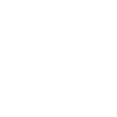 Coins Icon